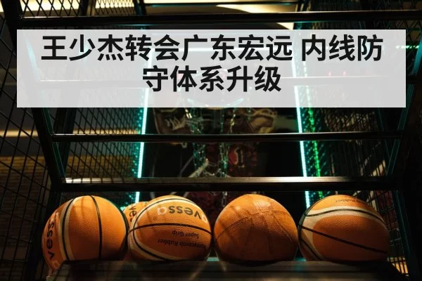 Guangdong Hongyuan basketball